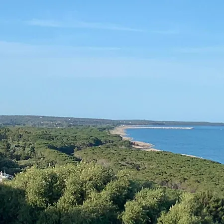 Sa Domo 'e Su Banditore