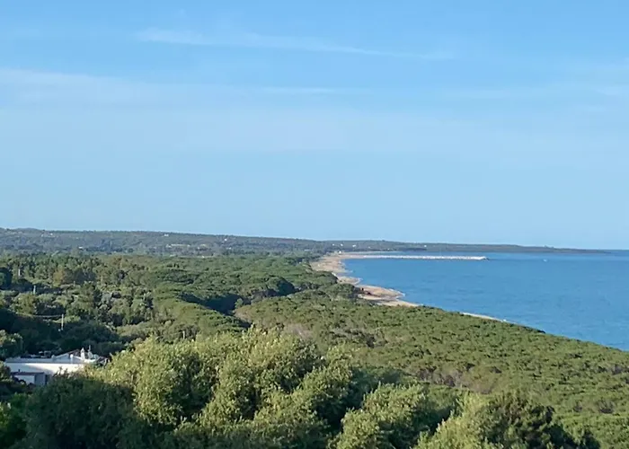 Sa Domo 'e Su Banditore